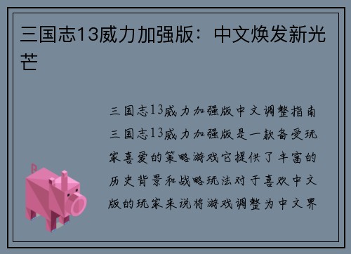 三国志13威力加强版：中文焕发新光芒