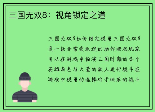 三国无双8：视角锁定之道